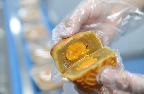 浓浓中秋情，感恩志愿者——爱心企业慰问市城区疫情防控志愿者