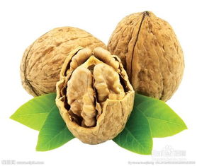 慧眼识“果” 如何分辨不同坚果与干果的作用与功效